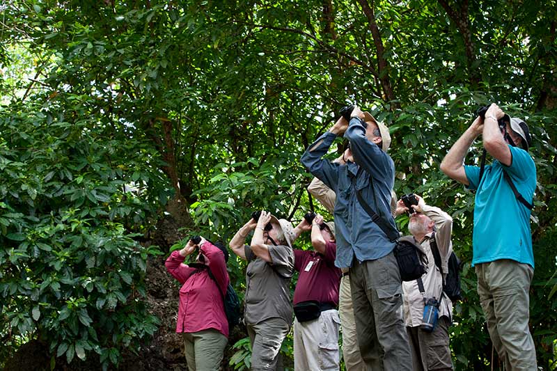 group travel christmas island holiday