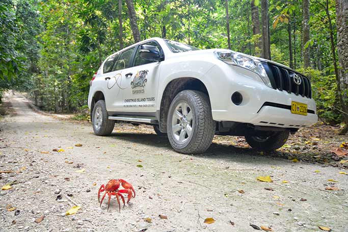 charter tours christmas island