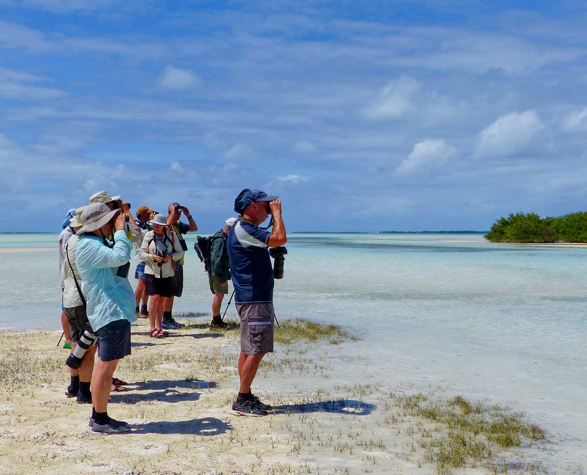 Bird Watching Tour - Australia's Indian Ocean Islands