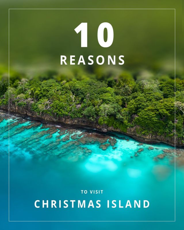 Swell Lodge have published 10 amazing reasons to visit Christmas Island in 2023! And they would love nothing more than ensuring you experience them with a stay at their amazing luxury tents perched on a cliff top in the National Park. Idyllic places, endemic species & immersive nature are on the agenda - with gourmet, nourishing meals on the menu. See Christmas Island as only Swell Lodge can offer!
7-night all-inclusive packages start at $7360pp based on 2 people sharing. Inclusions: return flights from Perth| return airport transfers| all meals| bespoke day tours| limitless bar & stays of more than 4 days include a boat snorkelling tour. What's holding you back? Contact Indian Ocean Experiences for more details or get your favourite travel agent to contact us!  #christmasisland #swelllodgechristmasisland #austtravellermag #ecolodges #luxurylodgesaustralia #wildernesslodge #glamping