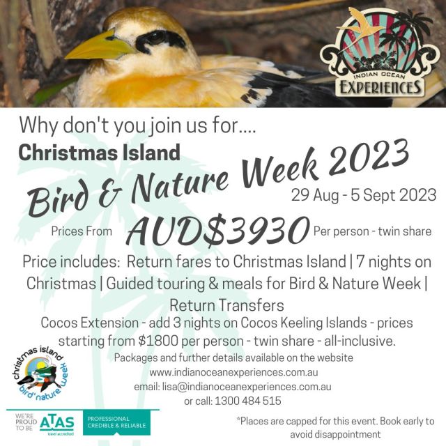 We're excited to announce that Christmas Island Bird & Nature Week packages for the 2023 event are now available! Places are limited so book early to avoid disappointment! For further details, visit the website link:
https://www.indianoceanexperiences.com.au/packages/bird-and-nature-week/